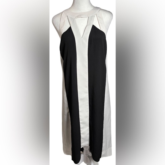 project RUNWAY Dresses & Skirts - Project Runway S Black & White Vertical Stripes High-low Dress